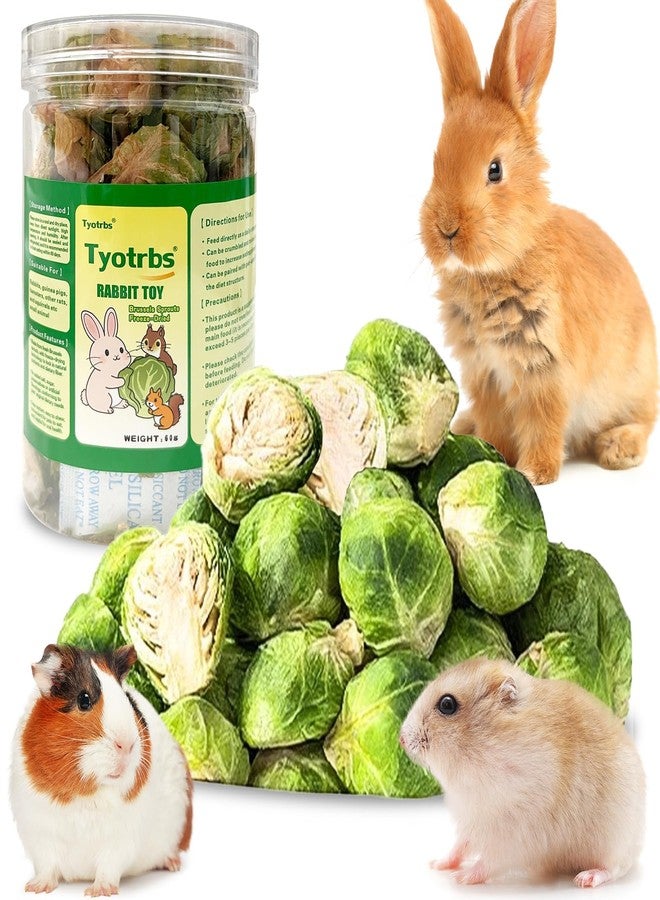Tyotrbs Freeze Dried Brussels Sprouts Rabbit and Hamster Chew Treats Resealable Jar for Hamsters Bunny Guinea Pigs Groundhogs Natural Fiber Vitamin Snacks (Hamsters, Rabbits, Chinchillas, Guinea Pigs) - Image 1